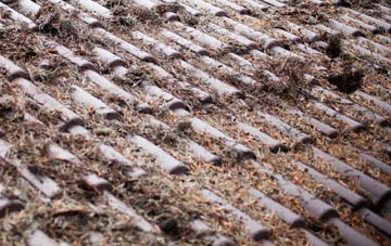 Blackborough End roof cleaning companies