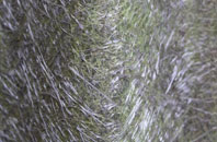 Blackborough End fibreglass roof work